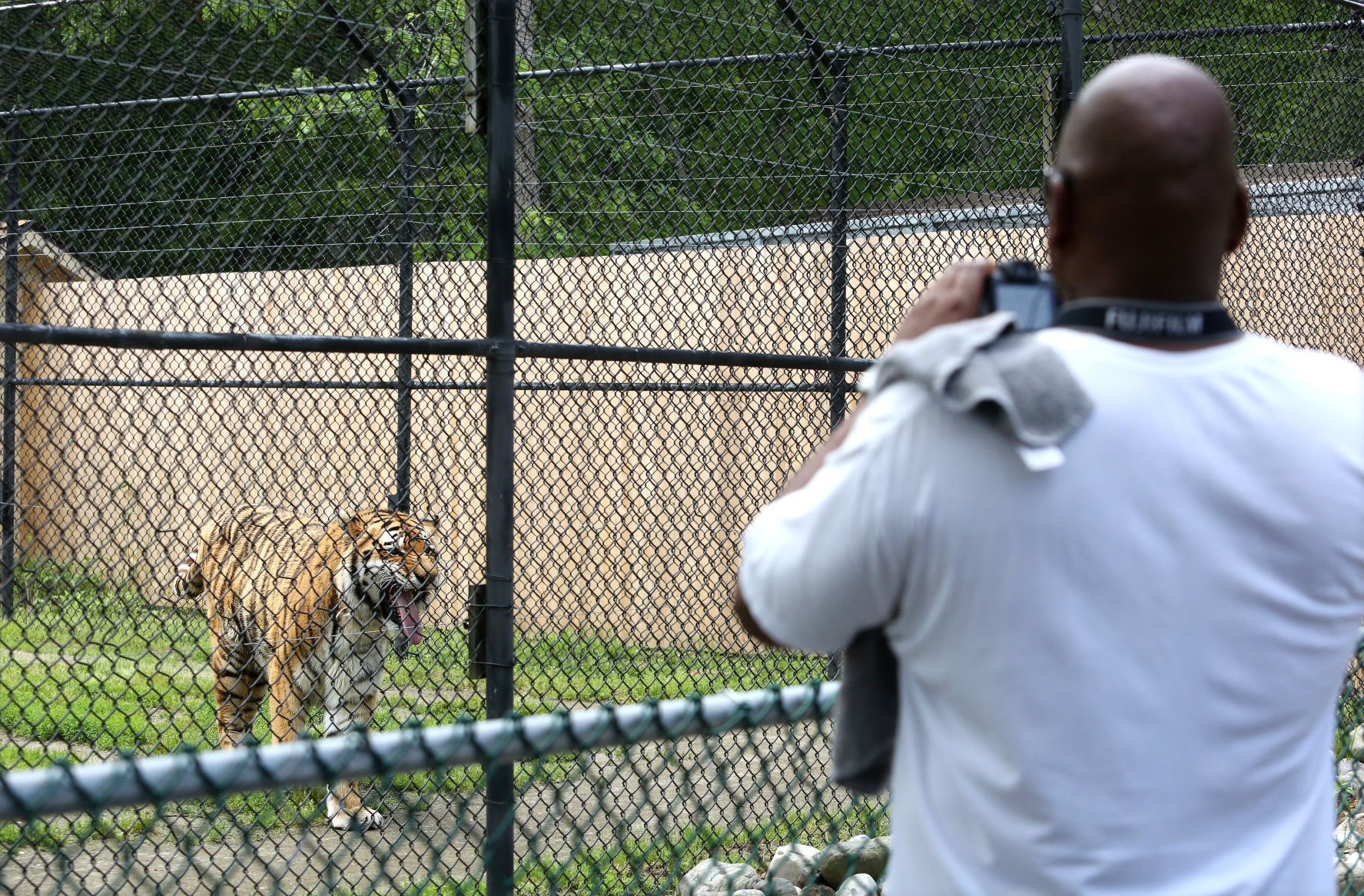 CAPE ZOO